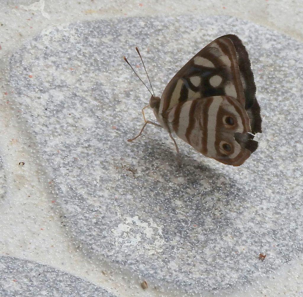 Fotografía 8